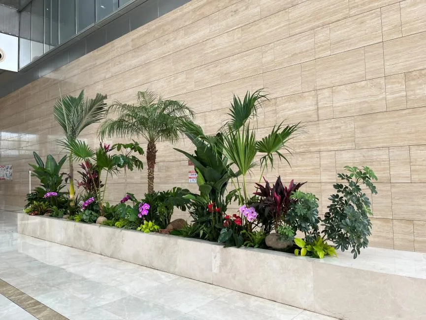 宁波江北盆景租摆，服务一流，带你走进绿色新境界！