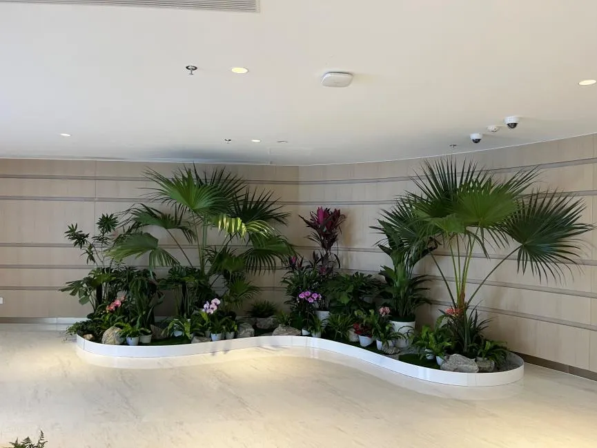 鄞州花卉租赁，优质服务领先，装点您的美好空间！